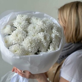 Хризантемы кустовые 5 белоснежные 🕊️