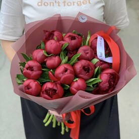 Букет 15 бордовых пионов