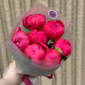 Коралловые пионы