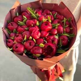 Пионы