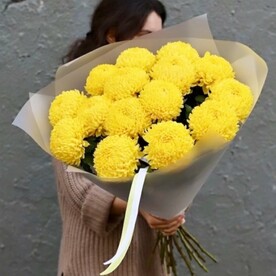 Букет 15 желтых хризантем