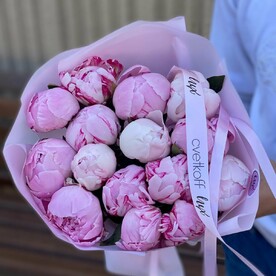 Розовые пионы 15 штук