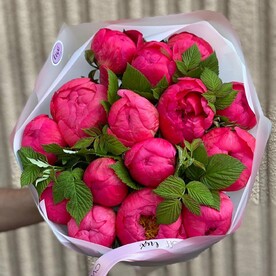 Коралловые пионы 15 штук с зеленью