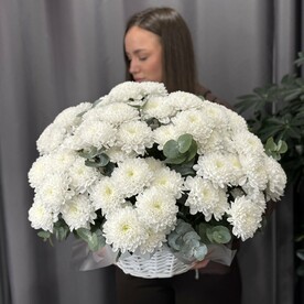 Корзина с хризантемой и зеленью «воздушное облачко»