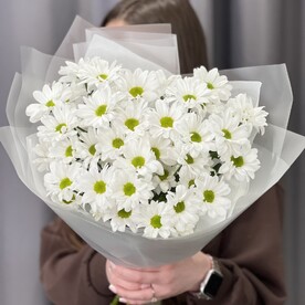 Хризантема, Дизайнерская упаковка