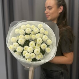 Монобукет из 5 веток ньютона