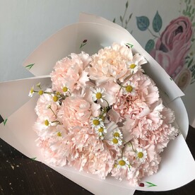Диантусы и ромашки