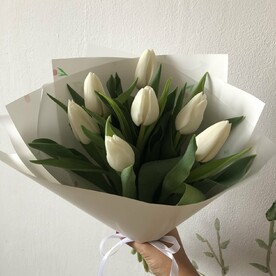 Белые тюльпаны 🌷