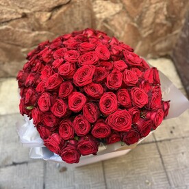 101 Роза 🌹