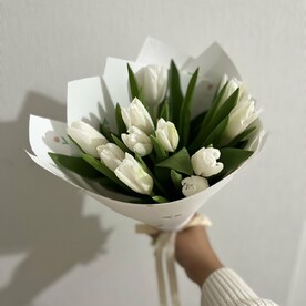 Тюльпаны 🌷
