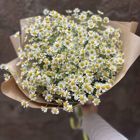 Ромашки с крафте
