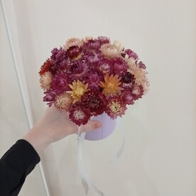 Композиция из гелихризумов
