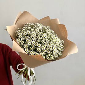 Сантини, Упаковка