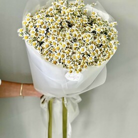 Букет из солнечных кустовых ромашек