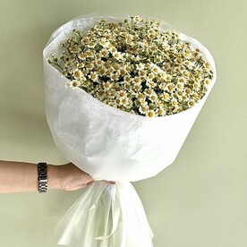 Букет из солнечных кустовых ромашек