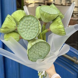 Букет из зелёных коробочек лотосов