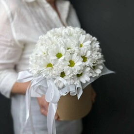 Хризантема кустовая, Тишью, Шляпная коробка, Оазис