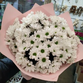 Хризантема кустовая, Упаковка