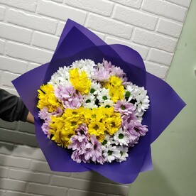 Хризантема кустовая, Дизайнерская упаковка