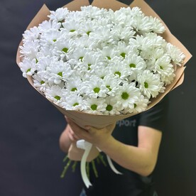 Хризантема кустовая, Крафт