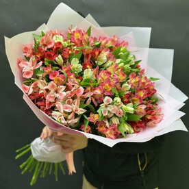 Альстромерия, Дизайнерская упаковка