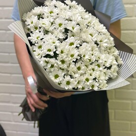 Хризантема кустовая, Дизайнерская упаковка