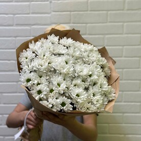 Хризантема кустовая, Крафт