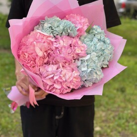 Гортензия, Стильная упаковка