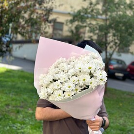Хризантема кустовая, Авторская упаковка