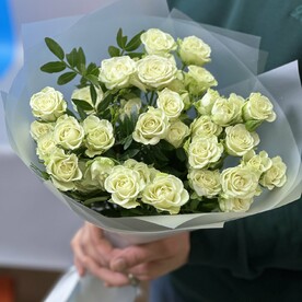 Роза кустовая, Писташ, Пленка матовая