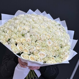 Роза аваланч, Дизайнерская упаковка
