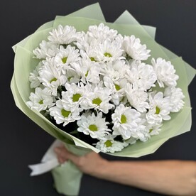 Хризантема кустовая, Дизайнерская упаковка