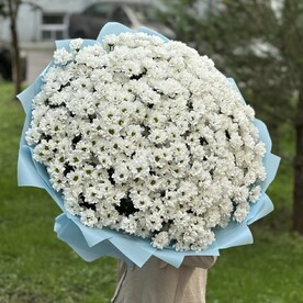 Хризантема кустовая, Дизайнерская упаковка
