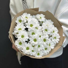 Хризантема кустовая, Упаковка крафт