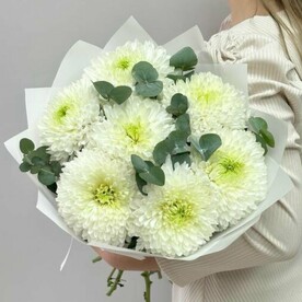 Монобукет из 7 крупных хризантем с эвкалиптом