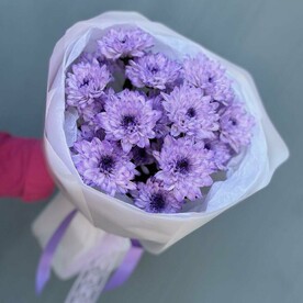 Монобукет из 3 сиреневых кустовых хризантем 💜