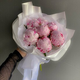 Букет из 7 розовых пионы сорта Сара Бернар