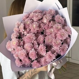 Букет из 13 кустовых хризантем сорта Фабиен