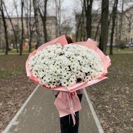 Огромный букет ромашек