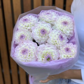 Георгины