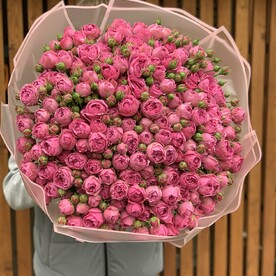Роза пионовидная кустовая Мисти Баблс, Пленка дизайнерская