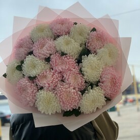Хризантемы 19 шт.