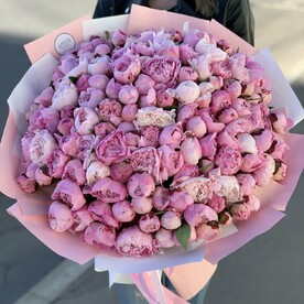 Пионы