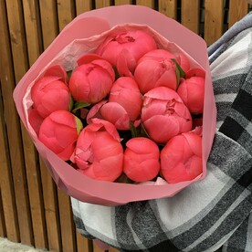 Пионы коралловые