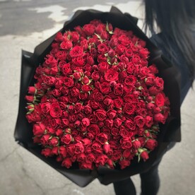 Кустовые розы