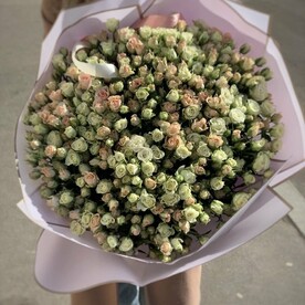 Кустовые розы