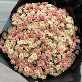 Кустовые розы