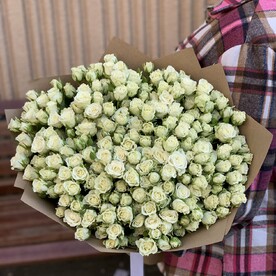 Розы кустовые
