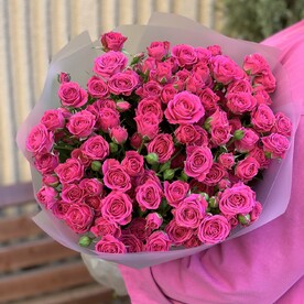 Роза кустовая, Пленка дизайнерская