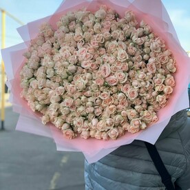 Розы кустовые